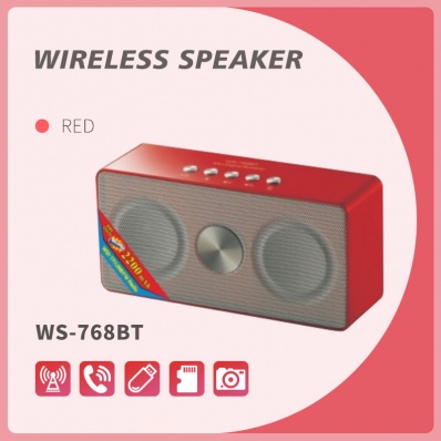 WSTER WS-768BT bluetooth speaker