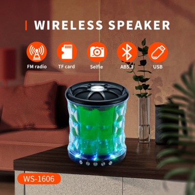 WSTER WS-1606 bluetooth speaker