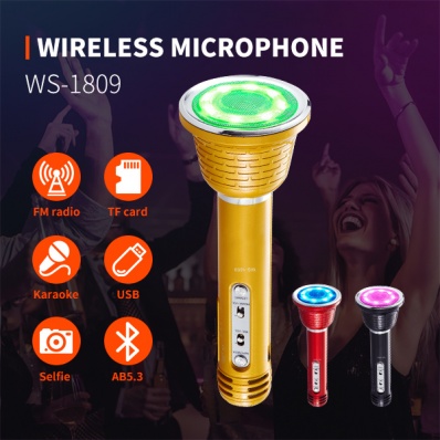 WSTER WS-1809 microfono karaoke