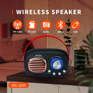 diffusore bluetooth WSTER WS-1839