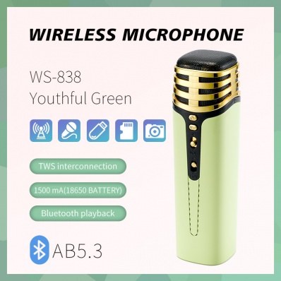 micro karaok&eacute; WSTER WS-838