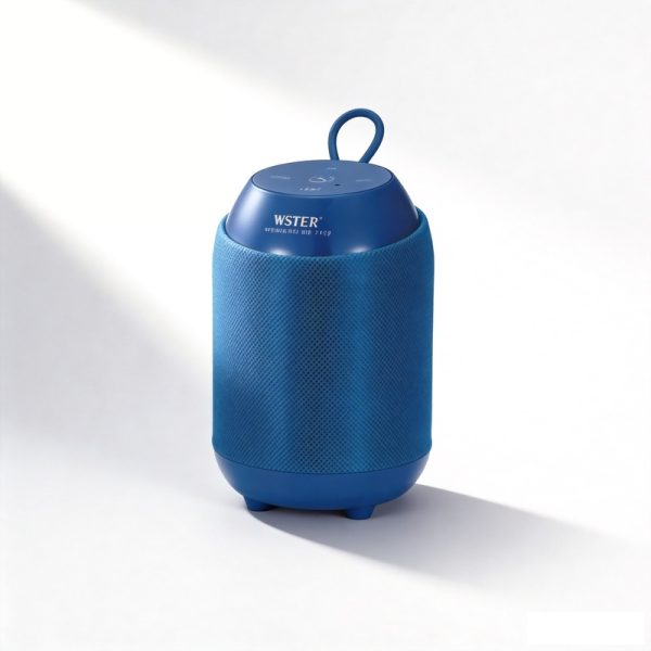 WS-2913 Bluetooth-Lautsprecher mit FM-Radio USB/TF Kabelloser Lautsprecher