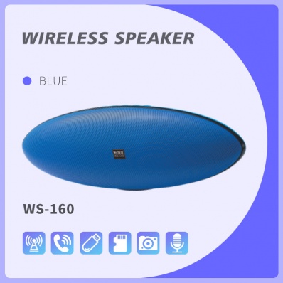 مكبر صوت بلوتوث WSTER WS-160